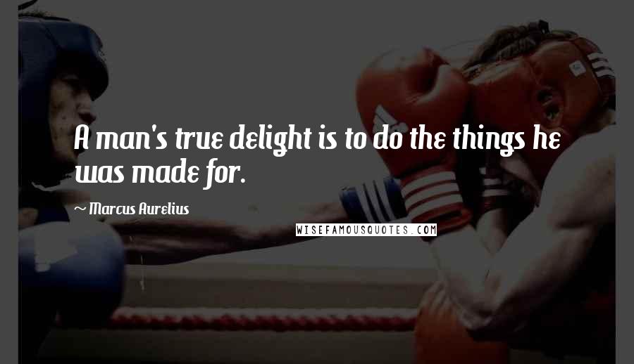 Marcus Aurelius Quotes: A man's true delight is to do the things he was made for.