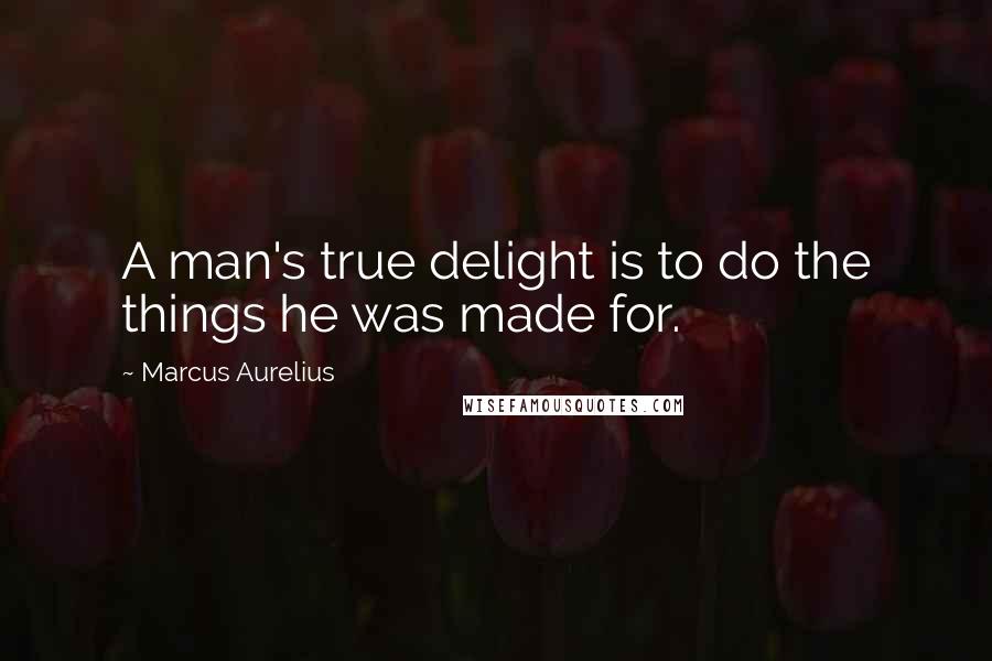 Marcus Aurelius Quotes: A man's true delight is to do the things he was made for.