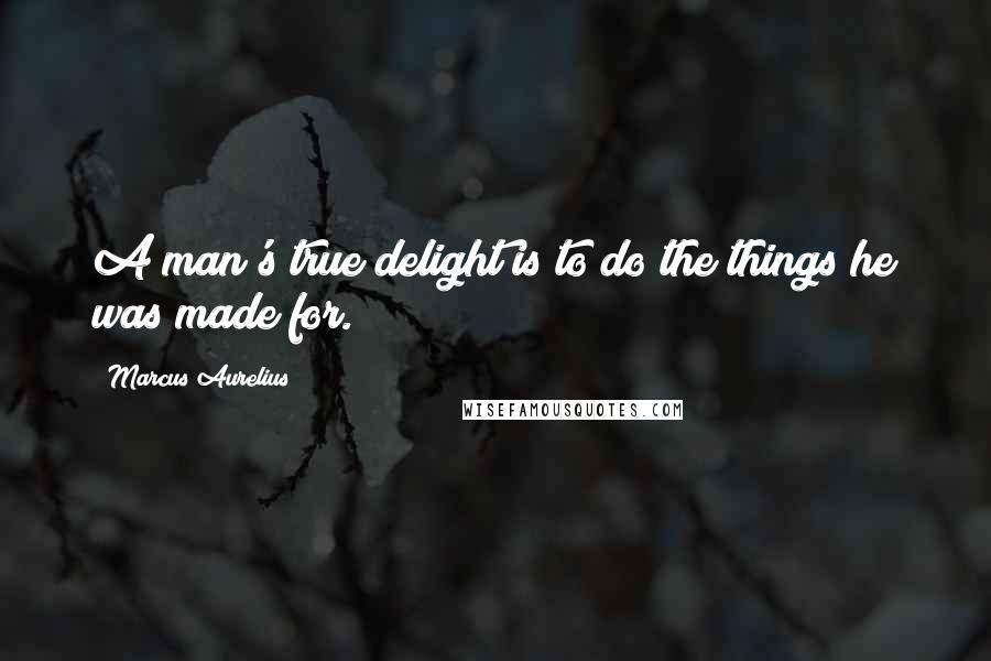 Marcus Aurelius Quotes: A man's true delight is to do the things he was made for.