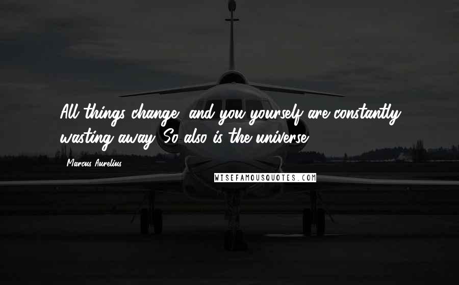 Marcus Aurelius Quotes: All things change, and you yourself are constantly wasting away. So also is the universe.