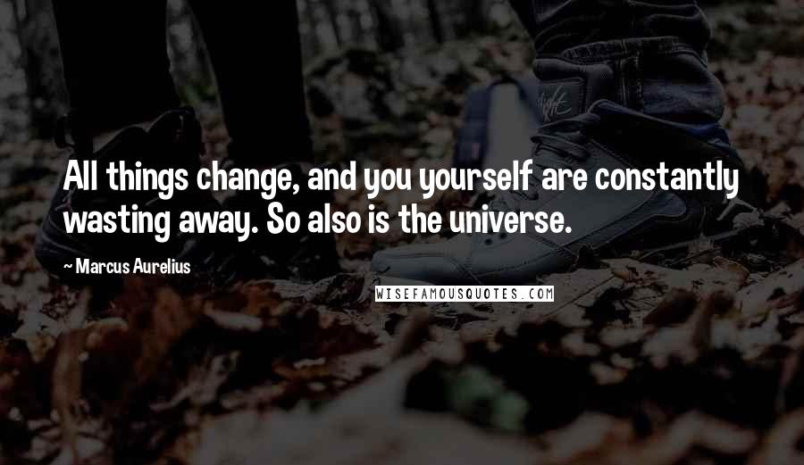 Marcus Aurelius Quotes: All things change, and you yourself are constantly wasting away. So also is the universe.
