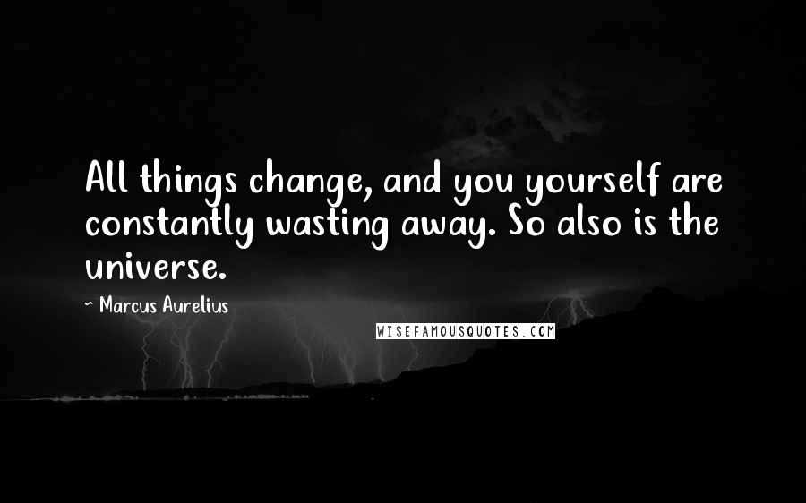 Marcus Aurelius Quotes: All things change, and you yourself are constantly wasting away. So also is the universe.