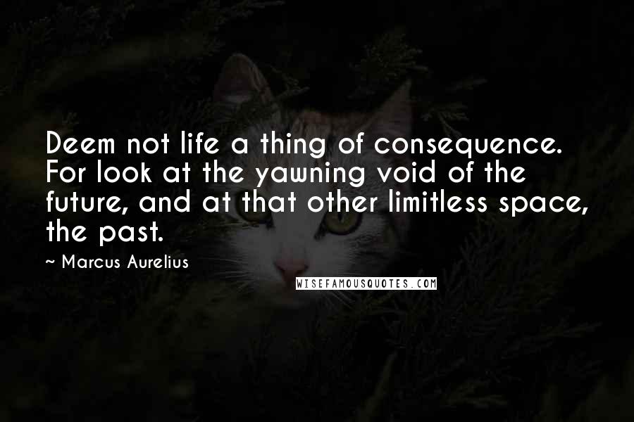 Marcus Aurelius Quotes: Deem not life a thing of consequence. For look at the yawning void of the future, and at that other limitless space, the past.