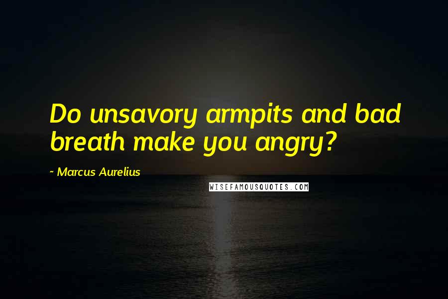 Marcus Aurelius Quotes: Do unsavory armpits and bad breath make you angry?