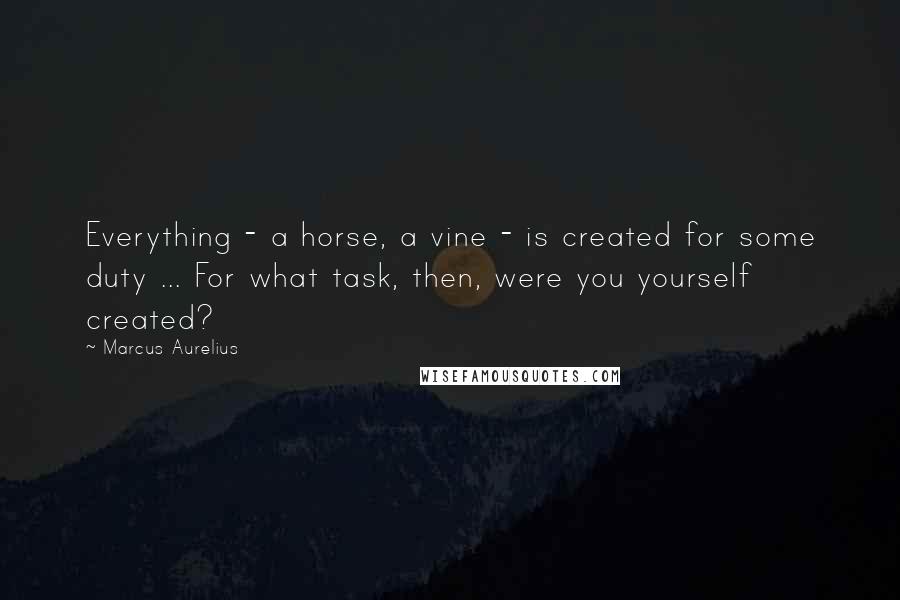 Marcus Aurelius Quotes: Everything - a horse, a vine - is created for some duty ... For what task, then, were you yourself created?