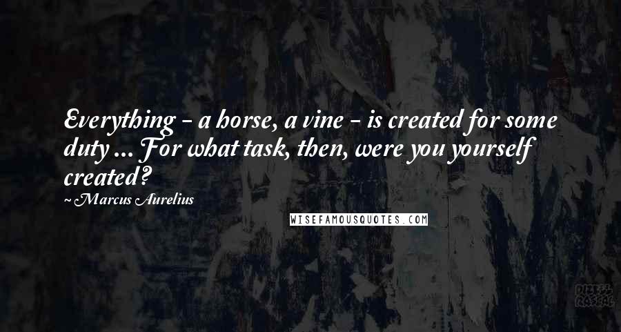 Marcus Aurelius Quotes: Everything - a horse, a vine - is created for some duty ... For what task, then, were you yourself created?