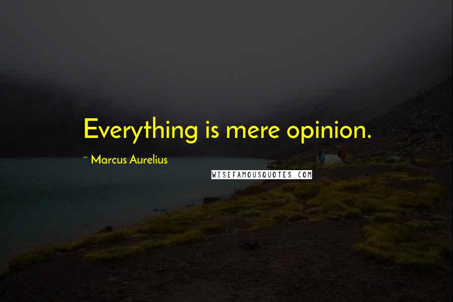 Marcus Aurelius Quotes: Everything is mere opinion.