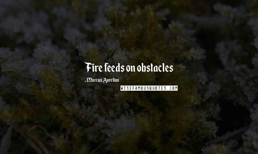 Marcus Aurelius Quotes: Fire feeds on obstacles
