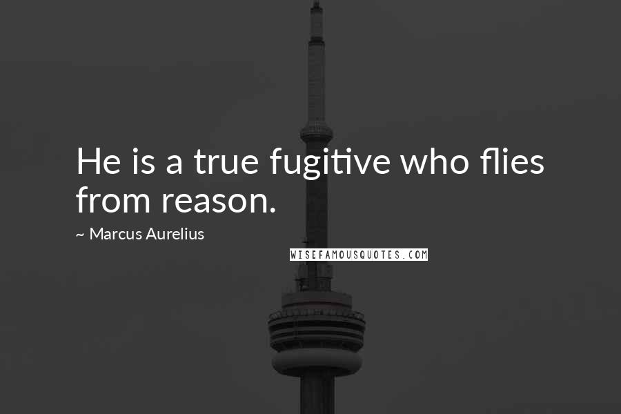 Marcus Aurelius Quotes: He is a true fugitive who flies from reason.