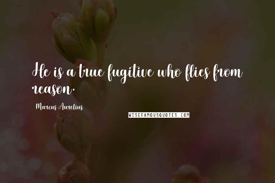 Marcus Aurelius Quotes: He is a true fugitive who flies from reason.