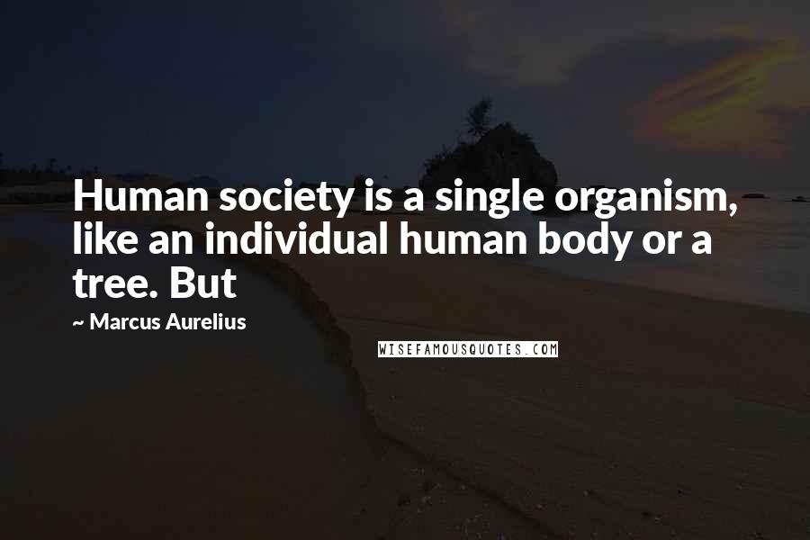 Marcus Aurelius Quotes: Human society is a single organism, like an individual human body or a tree. But