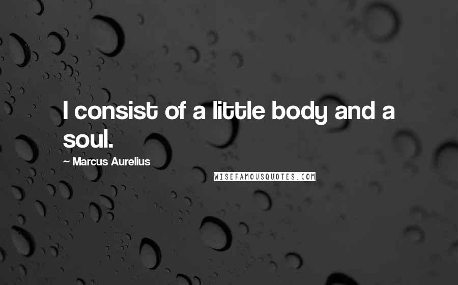 Marcus Aurelius Quotes: I consist of a little body and a soul.