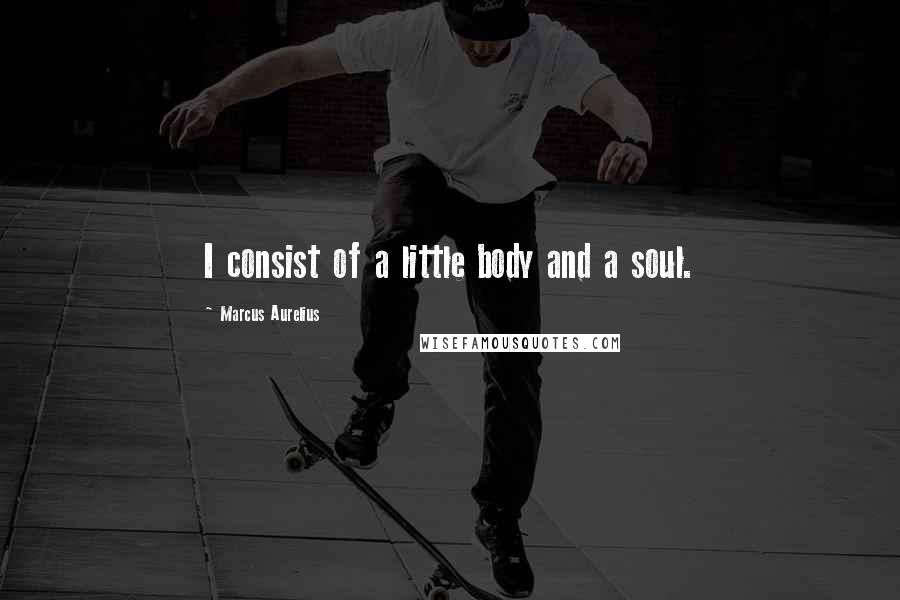 Marcus Aurelius Quotes: I consist of a little body and a soul.