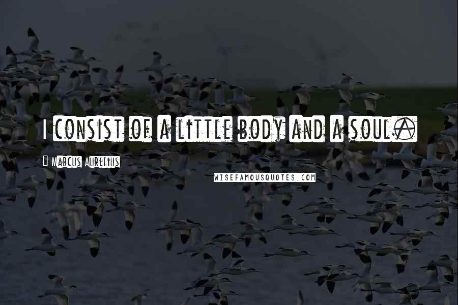Marcus Aurelius Quotes: I consist of a little body and a soul.