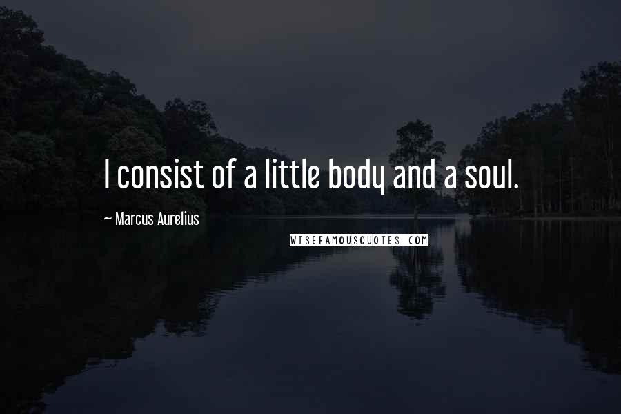 Marcus Aurelius Quotes: I consist of a little body and a soul.