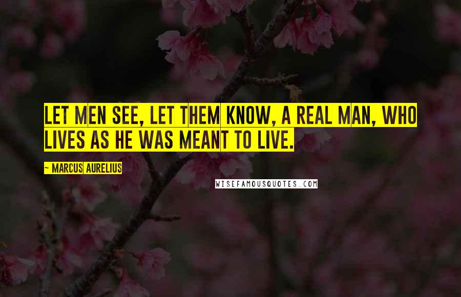 Marcus Aurelius Quotes: Let men see, let them know, a real man, who lives as he was meant to live.