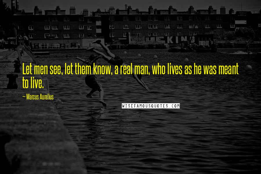 Marcus Aurelius Quotes: Let men see, let them know, a real man, who lives as he was meant to live.