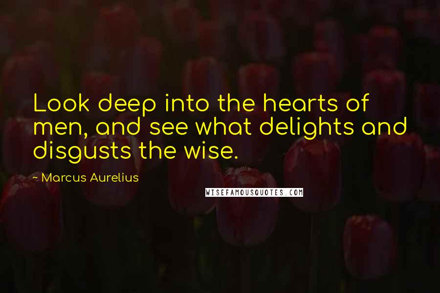 Marcus Aurelius Quotes: Look deep into the hearts of men, and see what delights and disgusts the wise.