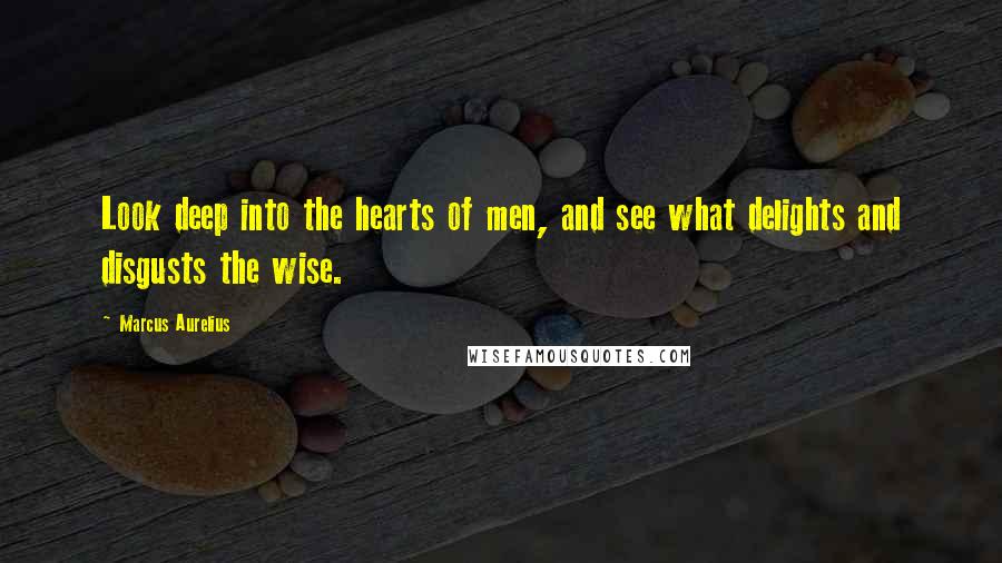 Marcus Aurelius Quotes: Look deep into the hearts of men, and see what delights and disgusts the wise.