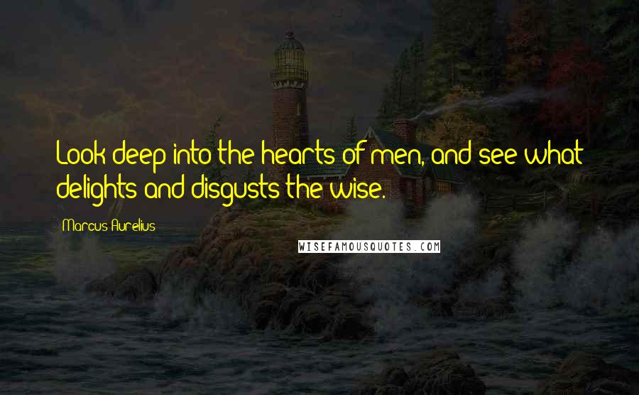 Marcus Aurelius Quotes: Look deep into the hearts of men, and see what delights and disgusts the wise.