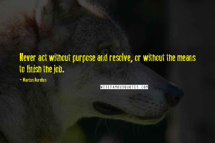 Marcus Aurelius Quotes: Never act without purpose and resolve, or without the means to finish the job.