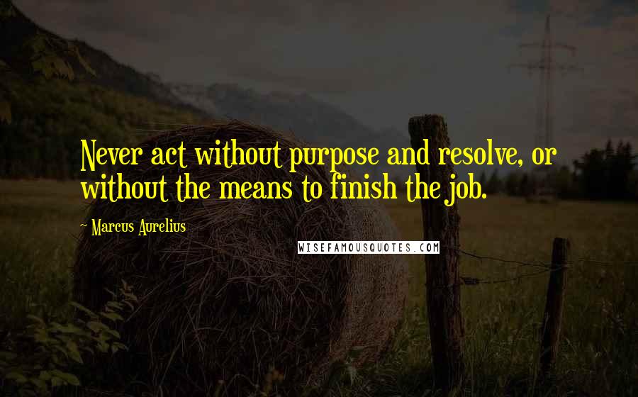 Marcus Aurelius Quotes: Never act without purpose and resolve, or without the means to finish the job.