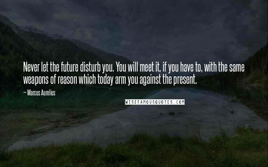 Marcus Aurelius Quotes: Never let the future disturb you. You will meet it, if you have to, with the same weapons of reason which today arm you against the present.