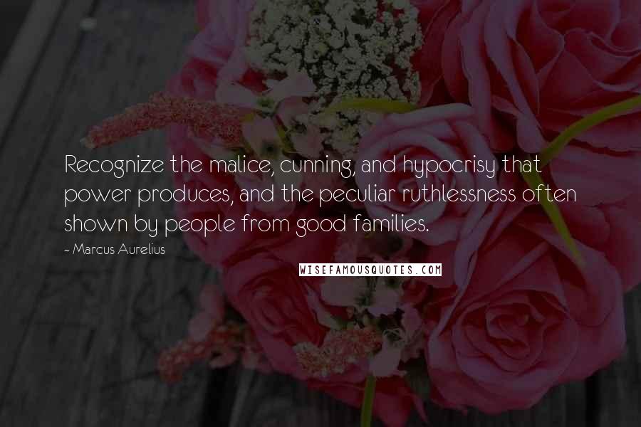 Marcus Aurelius Quotes: Recognize the malice, cunning, and hypocrisy that power produces, and the peculiar ruthlessness often shown by people from good families.