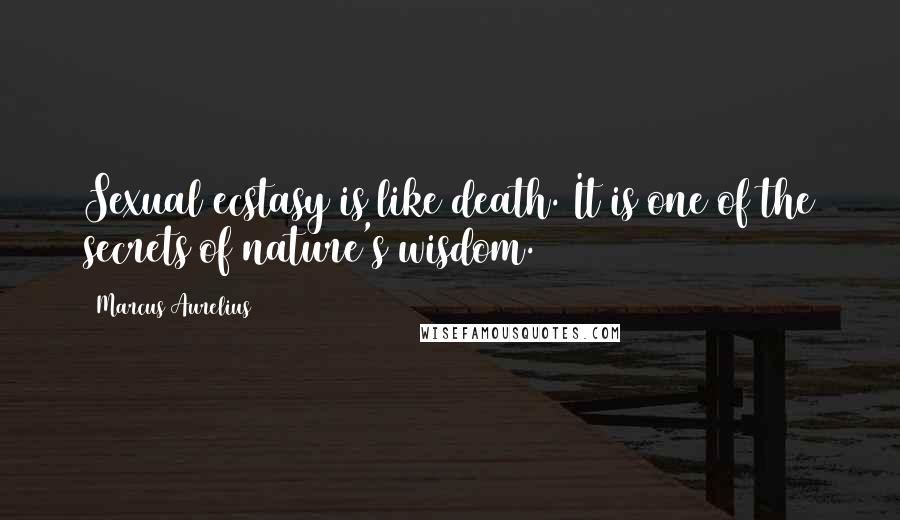 Marcus Aurelius Quotes: Sexual ecstasy is like death. It is one of the secrets of nature's wisdom.