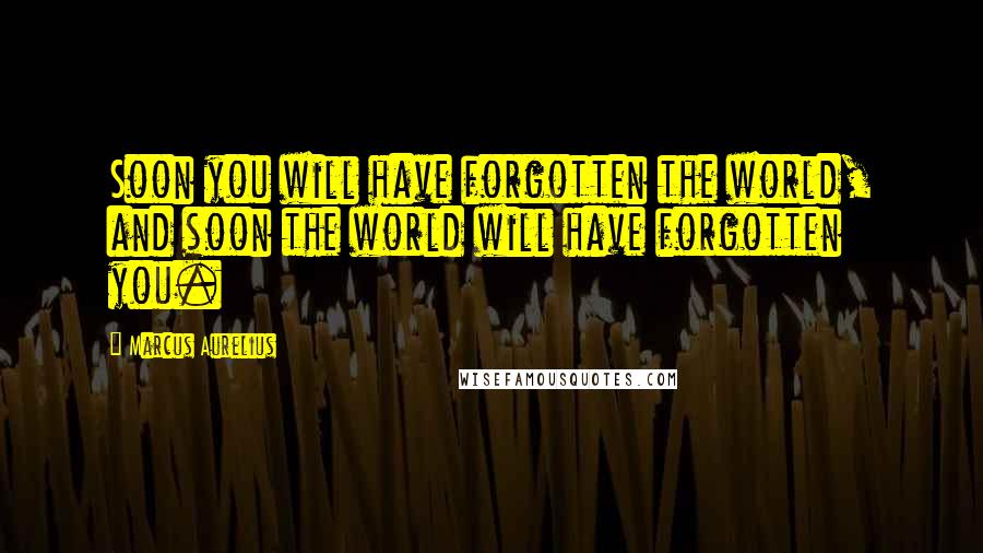 Marcus Aurelius Quotes: Soon you will have forgotten the world, and soon the world will have forgotten you.