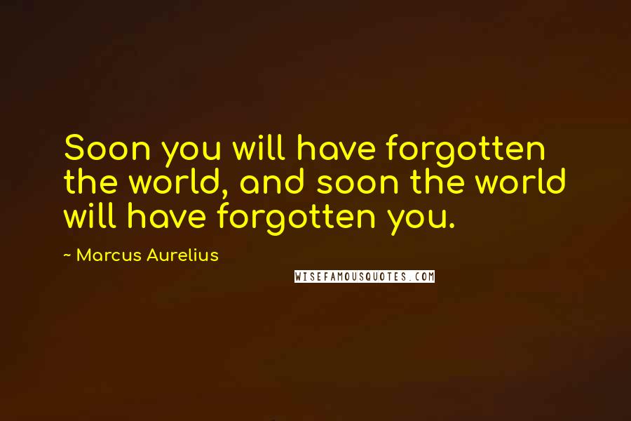 Marcus Aurelius Quotes: Soon you will have forgotten the world, and soon the world will have forgotten you.