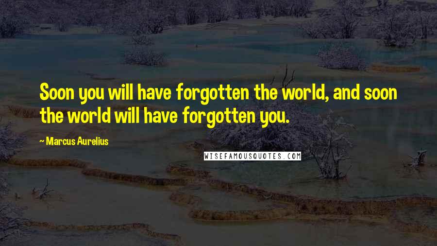 Marcus Aurelius Quotes: Soon you will have forgotten the world, and soon the world will have forgotten you.