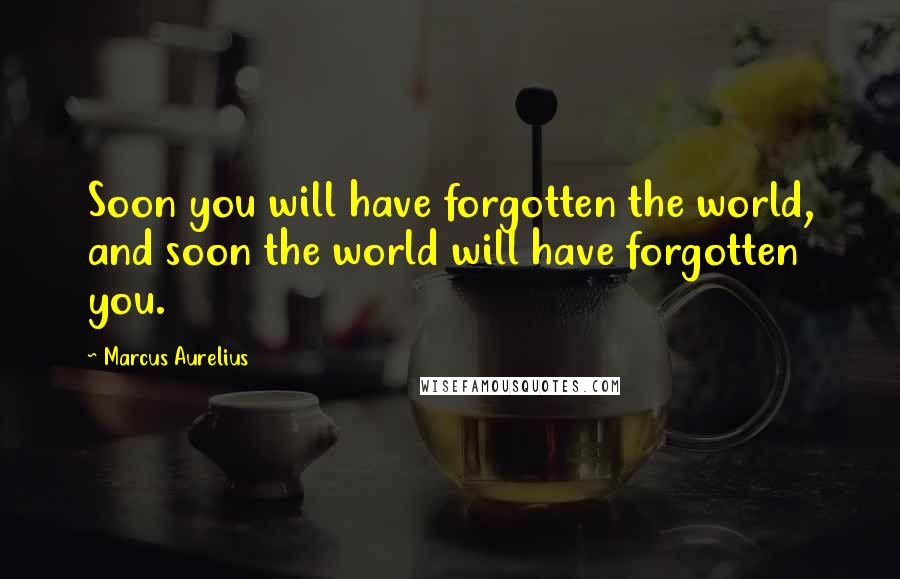 Marcus Aurelius Quotes: Soon you will have forgotten the world, and soon the world will have forgotten you.