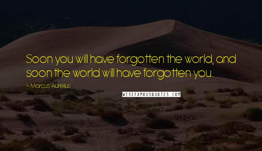 Marcus Aurelius Quotes: Soon you will have forgotten the world, and soon the world will have forgotten you.