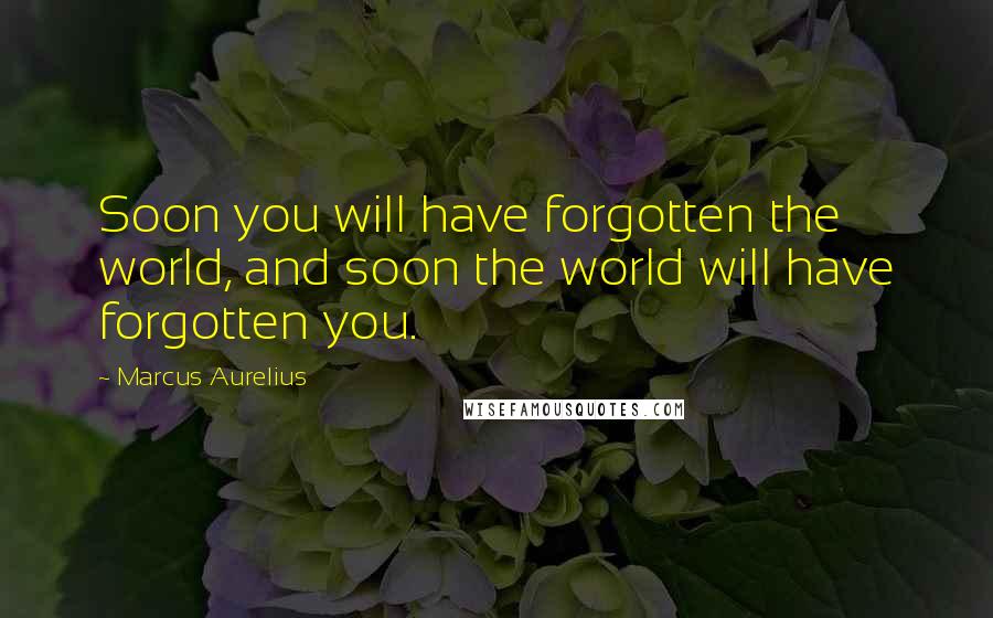 Marcus Aurelius Quotes: Soon you will have forgotten the world, and soon the world will have forgotten you.