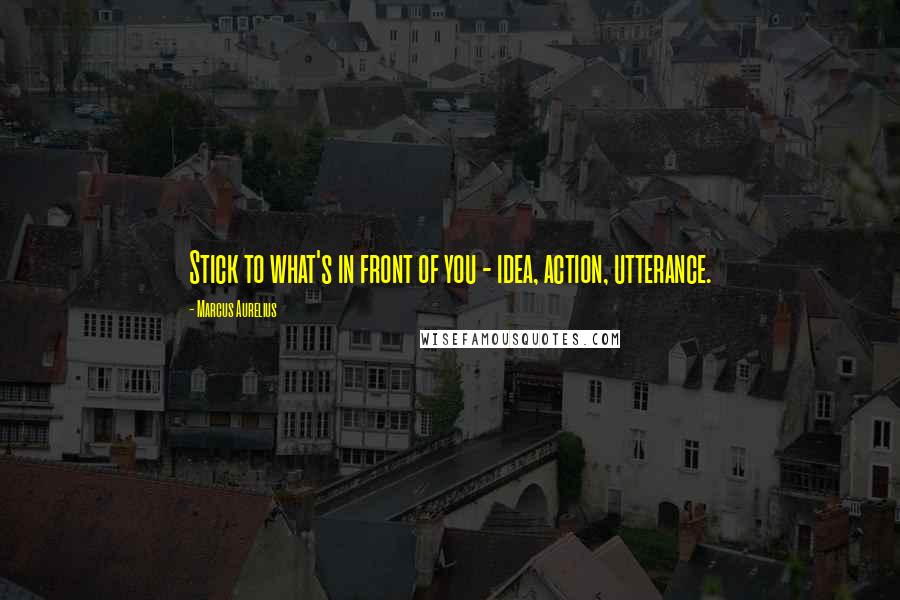 Marcus Aurelius Quotes: Stick to what's in front of you - idea, action, utterance.
