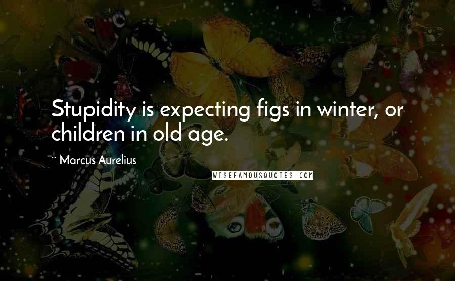 Marcus Aurelius Quotes: Stupidity is expecting figs in winter, or children in old age.