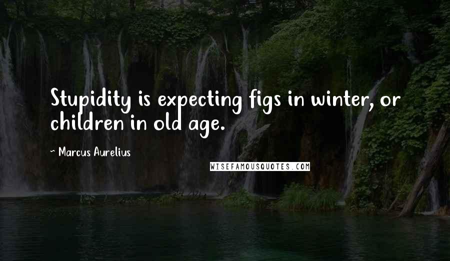 Marcus Aurelius Quotes: Stupidity is expecting figs in winter, or children in old age.
