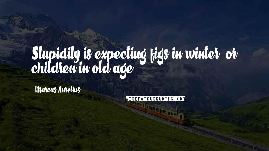 Marcus Aurelius Quotes: Stupidity is expecting figs in winter, or children in old age.