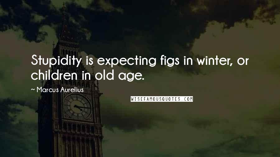 Marcus Aurelius Quotes: Stupidity is expecting figs in winter, or children in old age.