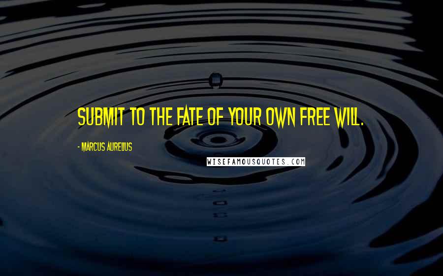 Marcus Aurelius Quotes: Submit to the fate of your own free will.