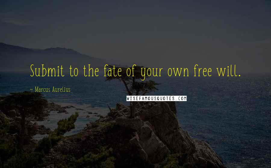 Marcus Aurelius Quotes: Submit to the fate of your own free will.