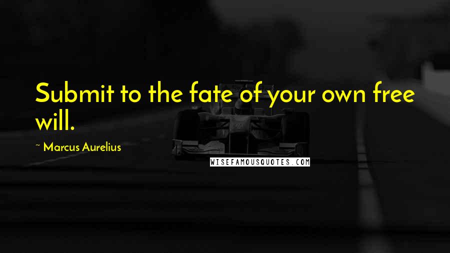 Marcus Aurelius Quotes: Submit to the fate of your own free will.