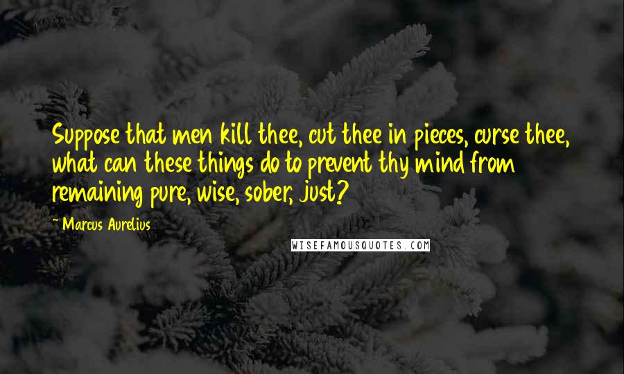 Marcus Aurelius Quotes: Suppose that men kill thee, cut thee in pieces, curse thee, what can these things do to prevent thy mind from remaining pure, wise, sober, just?