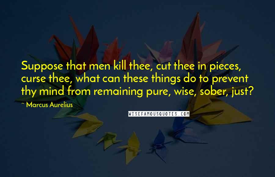 Marcus Aurelius Quotes: Suppose that men kill thee, cut thee in pieces, curse thee, what can these things do to prevent thy mind from remaining pure, wise, sober, just?