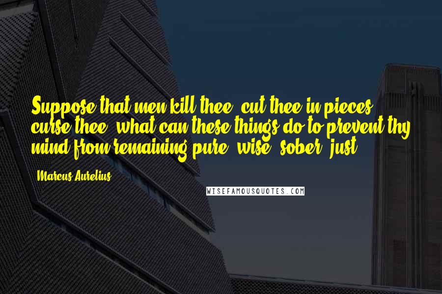 Marcus Aurelius Quotes: Suppose that men kill thee, cut thee in pieces, curse thee, what can these things do to prevent thy mind from remaining pure, wise, sober, just?