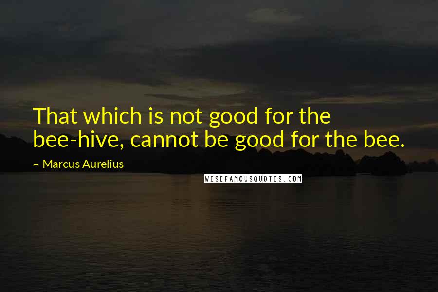 Marcus Aurelius Quotes: That which is not good for the bee-hive, cannot be good for the bee.