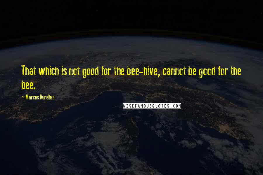 Marcus Aurelius Quotes: That which is not good for the bee-hive, cannot be good for the bee.