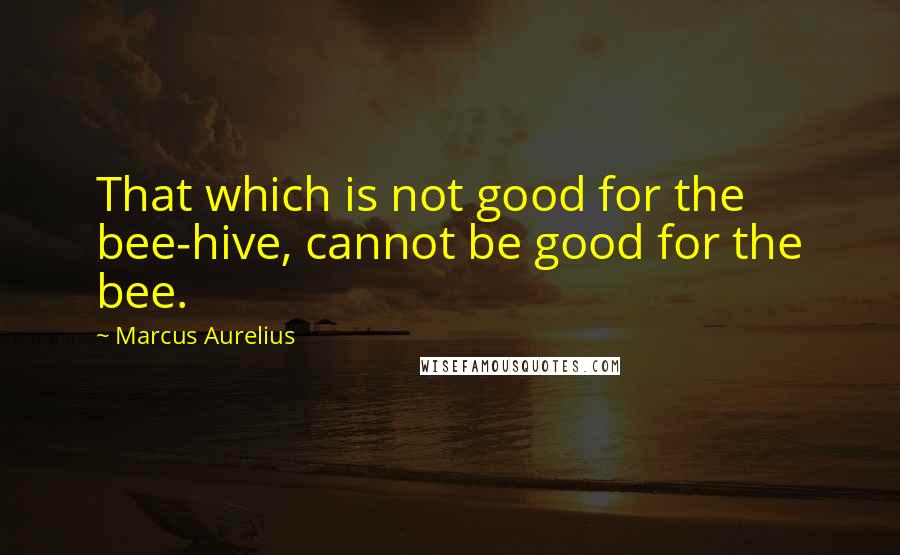 Marcus Aurelius Quotes: That which is not good for the bee-hive, cannot be good for the bee.