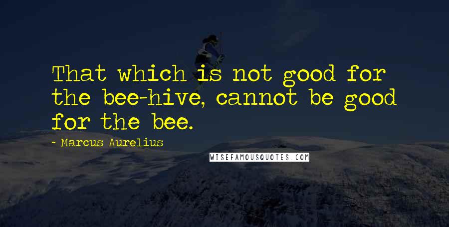 Marcus Aurelius Quotes: That which is not good for the bee-hive, cannot be good for the bee.